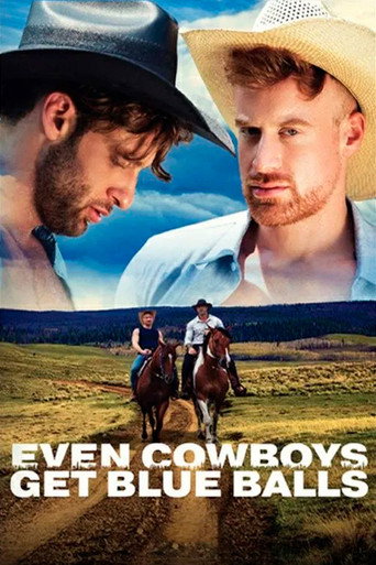 Even Cowboys Get Blue Balls movie poster