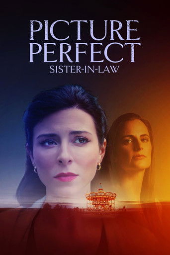 Picture Perfect Sister-in-Law movie poster
