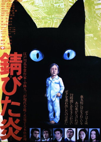 Flickering Flames movie poster