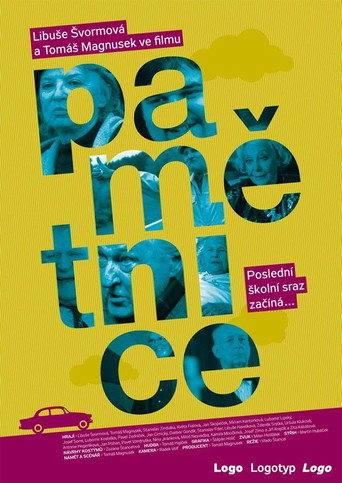 Pamětnice movie poster