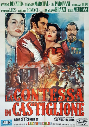The Contessa's Secret movie poster