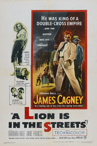 A Lion Is in the Streets movie poster