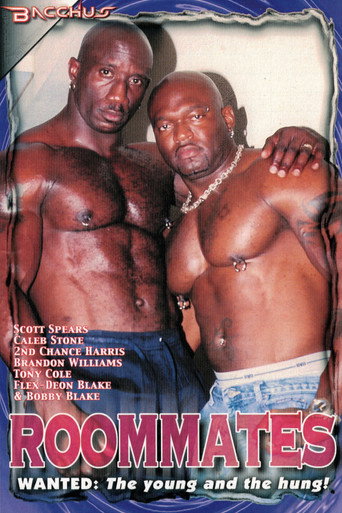 Roommates movie poster