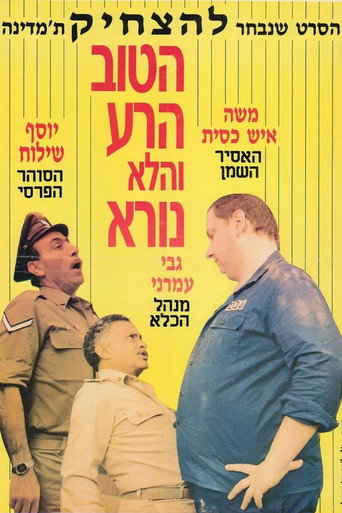 The Good, the Bad, and the Not So Bad movie poster