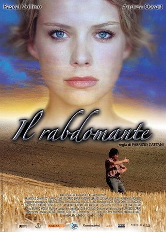 Il rabdomante movie poster