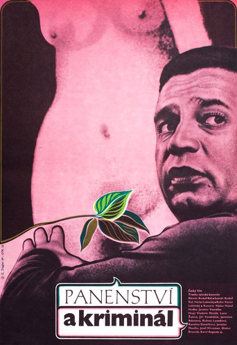 Panenství a kriminál movie poster