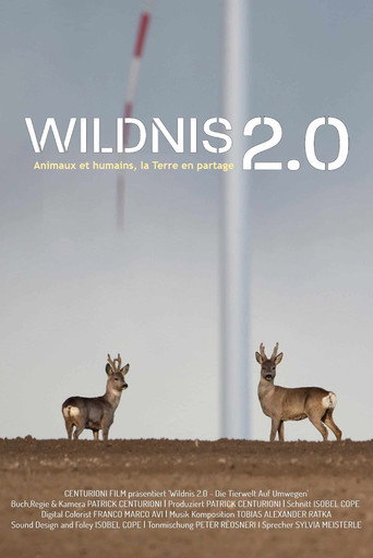 Wildnis 2.0 - Die Tierwelt auf Umwegen movie poster