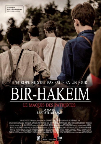 Bir-Hakeim, le maquis des patriotes movie poster