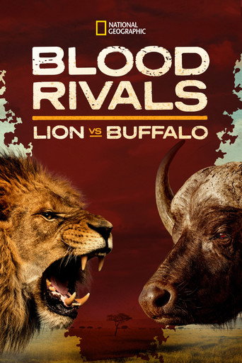 Blood Rivals: Lion vs Buffalo movie poster