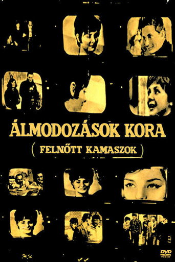Age of Illusions movie poster