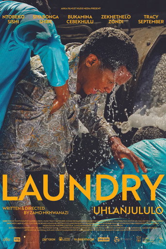 Laundry movie poster
