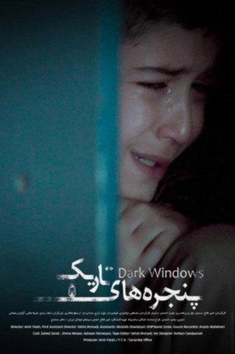 Dark Windows movie poster