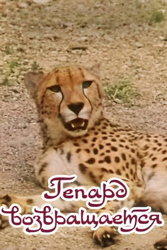 The Cheetah Comes Back movie poster