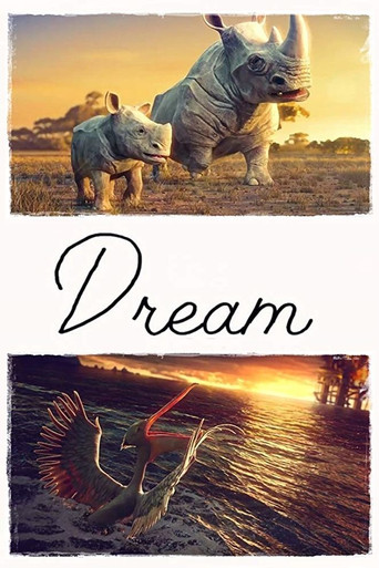 Dream movie poster