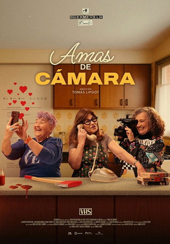 Ladies of the Lens movie poster