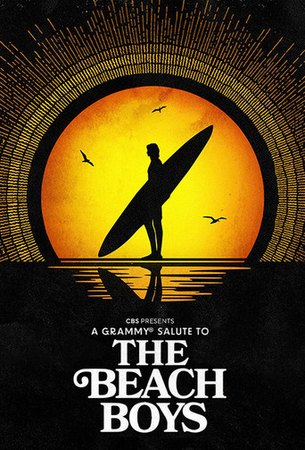A Grammy Salute to The Beach Boys movie poster