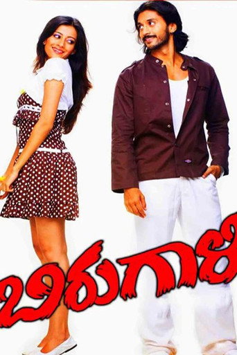 Birugaali movie poster