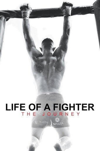 Life of a Fighter: The Journey movie poster
