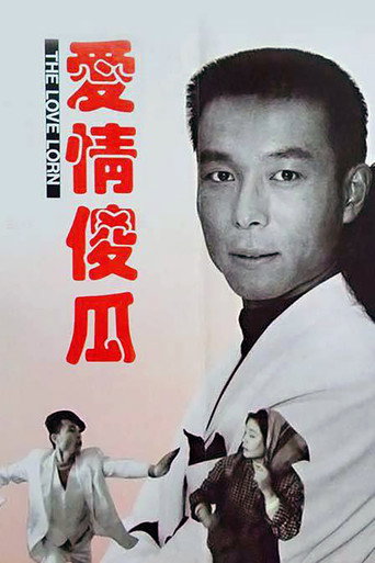 爱情傻瓜 movie poster