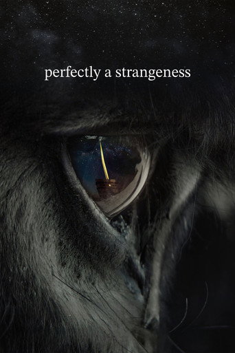 perfectly a strangeness movie poster