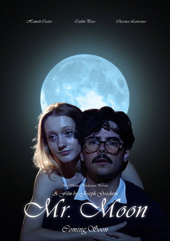 Mr. Moon movie poster