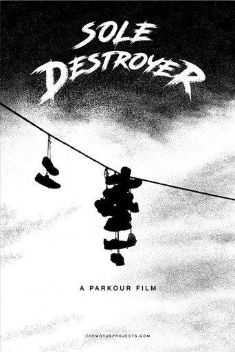 Sole Destroyer movie poster