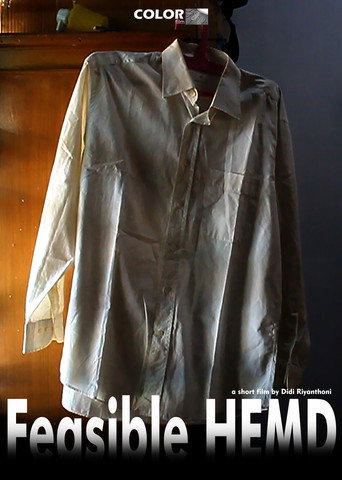 Feasible HEMD movie poster