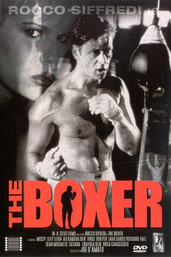 The Boxer movie poster