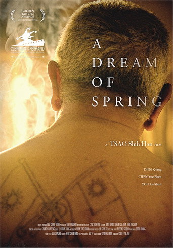 A Dream of Spring movie poster
