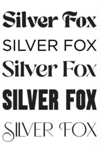 Silver Fox movie poster