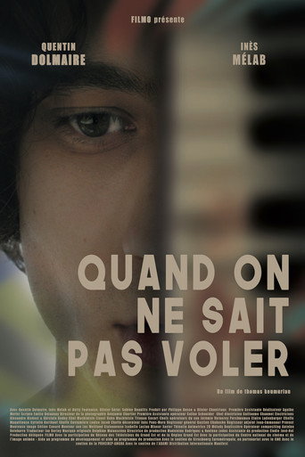 If You Can't Fly movie poster
