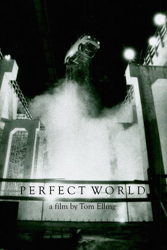 Perfect World movie poster