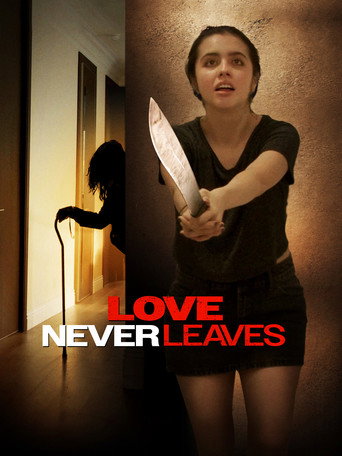 Love Never Leaves movie poster