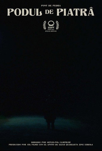 The Stone Bridge movie poster