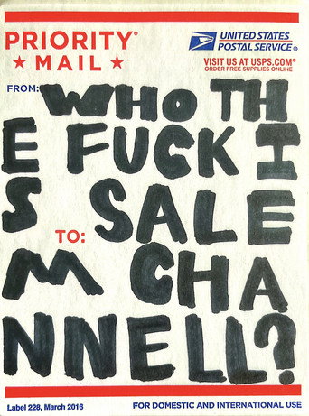 WHO THE FUCK IS SALEM CHANNELL?! movie poster