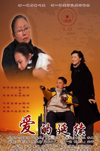 爱的延续 movie poster