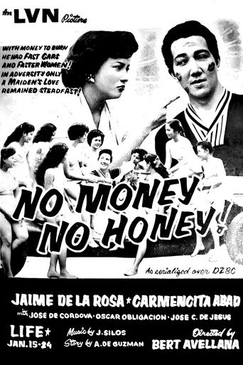 No Money No Honey movie poster