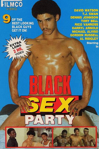 Black Sex Party movie poster