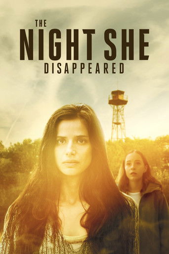 The Night She Disappeared movie poster