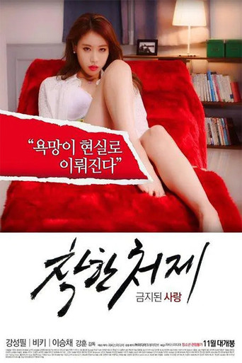 Nice Sister-In-Law movie poster