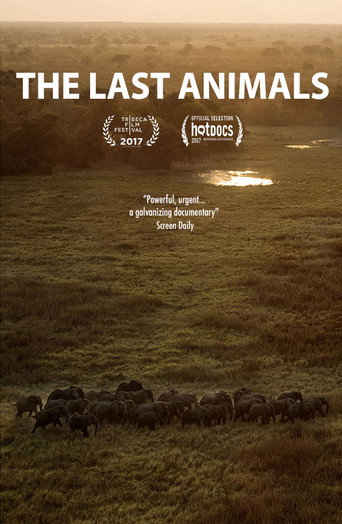 The Last Animals movie poster