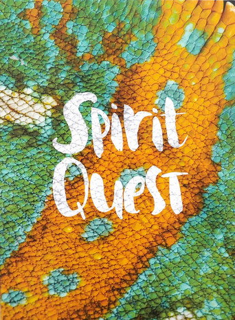 Spirit Quest movie poster