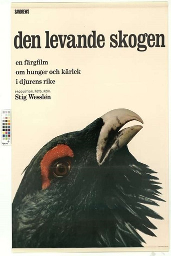 The Living Forest movie poster