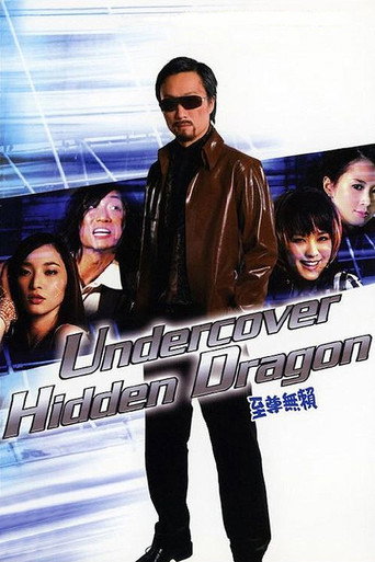 Undercover Hidden Dragon movie poster