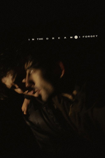 In the Dream I Forget movie poster