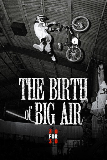 The Birth of Big Air movie poster