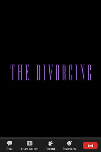 The Divorcing movie poster