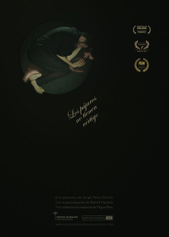 Los pájaros no tienen vértigo movie poster