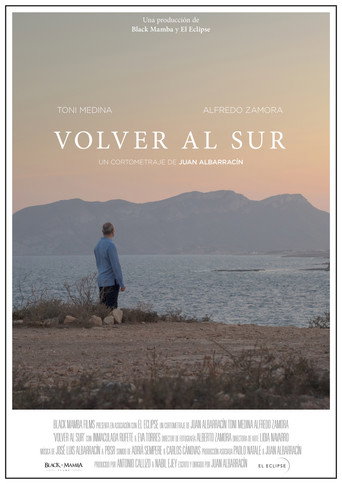 Volver al sur movie poster
