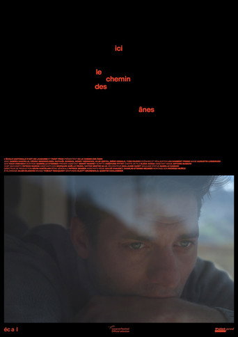 Stone Age movie poster